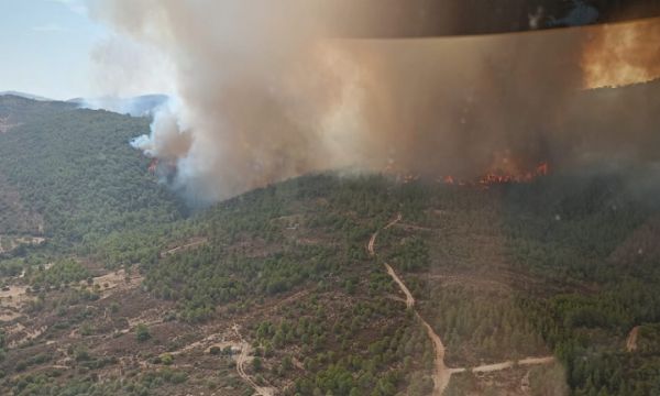 Foça'da çöplükte başlayan yangın ormana sıçradı!